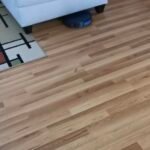 iMartine BR151 Robot Vacuum and Mop Combo – 2-in-1 Slim Robotic Cleaner with 2300Pa Suction, App/Voice/Remote Control, Self-Charging, Quiet Operation for Pet Hair, Hard Floors & Low Pile Carpet photo review