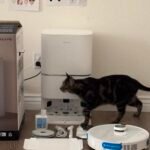 DREAME L40 Ultra Robot Vacuum and Mop, 11,000Pa Suction, Removable & Liftable Mop, Auto-Empty, Voice Control, Self-Cleaning, Pet-Friendly Smart Vacuum photo review