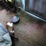 iMartine BR151 Robot Vacuum and Mop Combo – 2-in-1 Slim Robotic Cleaner with 2300Pa Suction, App/Voice/Remote Control, Self-Charging, Quiet Operation for Pet Hair, Hard Floors & Low Pile Carpet photo review