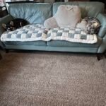 Shark AI Ultra Robot Vacuum – Self-Emptying, Smart Mapping, Matrix Clean, 60-Day XL Base, Pet Hair Pickup, Voice/App Control, LiDAR Navigation for Carpet & Hard Floors photo review