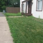 BLACK+DECKER 20V MAX Cordless 3-in-1 String Trimmer, 12″ (30.5 cm) Mower & Edger – Model MTC220 photo review